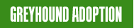 Greyhound adoption